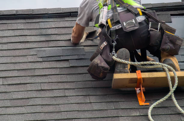 Best Chimney Flashing Repair  in Ravenna, OH